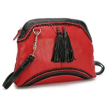 Tassels shoulder handbag ( H