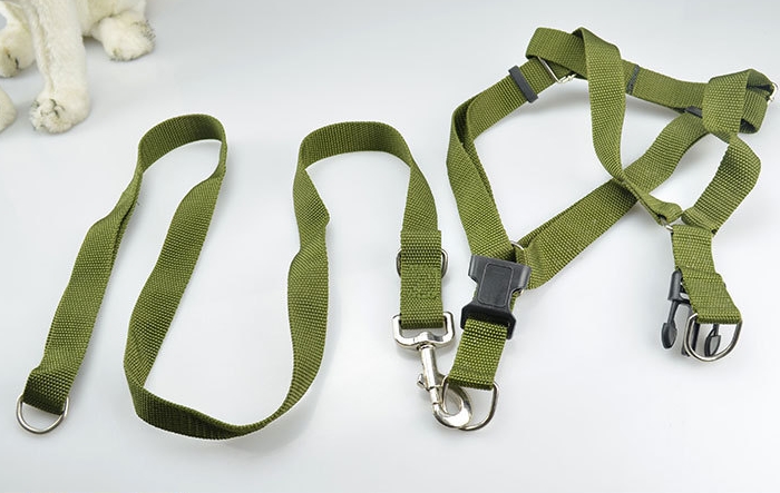 Cheap Training Webbing dog walking collar and leashes (DG120