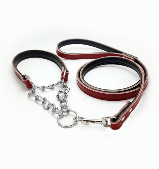 Hot sale leather dog collar and leashes  ( DG122 )